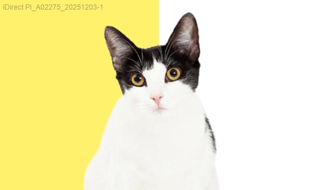 「寵物爸媽必看！揭秘台北寵物托育價格，找出物超所值的選擇」